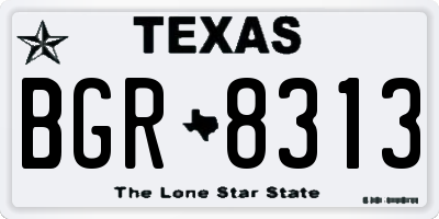 TX license plate BGR8313