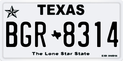 TX license plate BGR8314