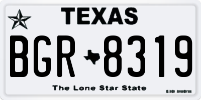 TX license plate BGR8319