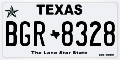 TX license plate BGR8328