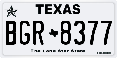 TX license plate BGR8377