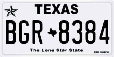 TX license plate BGR8384