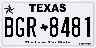 TX license plate BGR8481