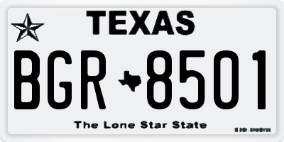 TX license plate BGR8501
