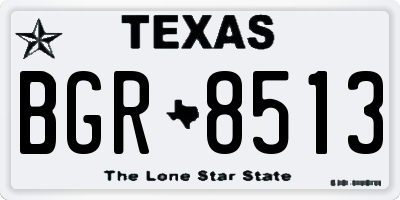 TX license plate BGR8513