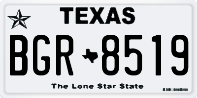 TX license plate BGR8519