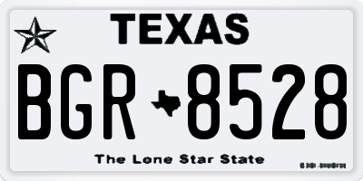 TX license plate BGR8528