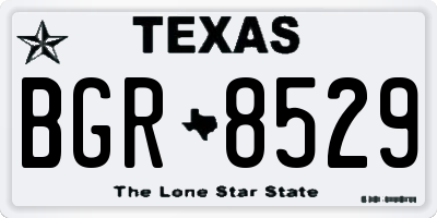 TX license plate BGR8529