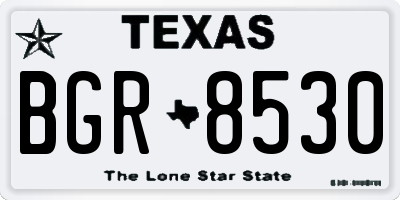 TX license plate BGR8530
