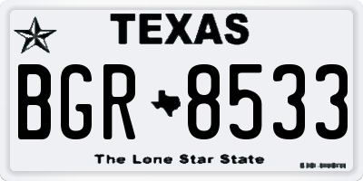TX license plate BGR8533