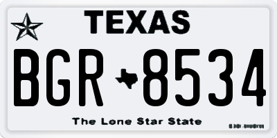 TX license plate BGR8534