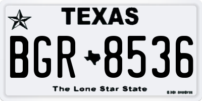 TX license plate BGR8536