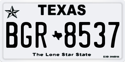 TX license plate BGR8537