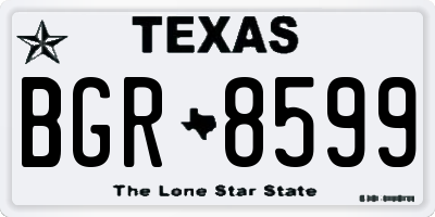 TX license plate BGR8599
