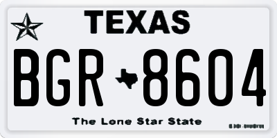 TX license plate BGR8604