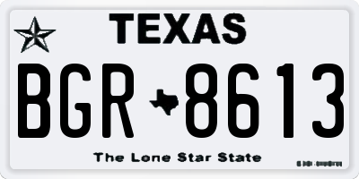 TX license plate BGR8613