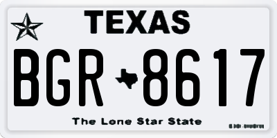 TX license plate BGR8617