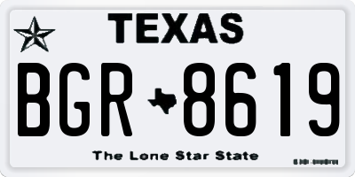 TX license plate BGR8619