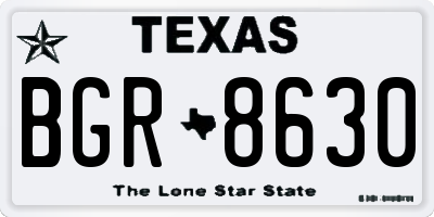 TX license plate BGR8630