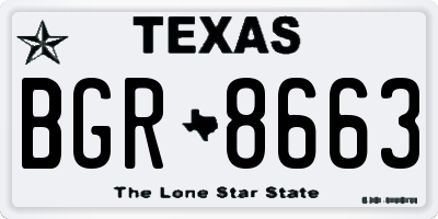 TX license plate BGR8663