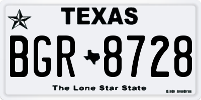 TX license plate BGR8728