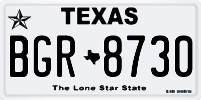 TX license plate BGR8730