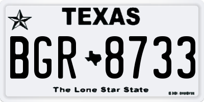TX license plate BGR8733