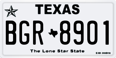 TX license plate BGR8901