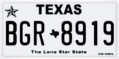 TX license plate BGR8919