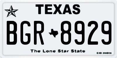 TX license plate BGR8929