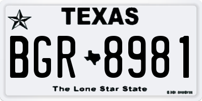 TX license plate BGR8981