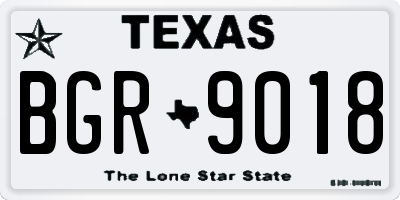 TX license plate BGR9018