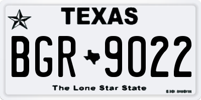 TX license plate BGR9022