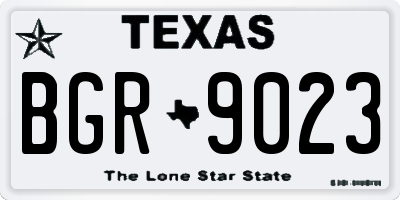 TX license plate BGR9023