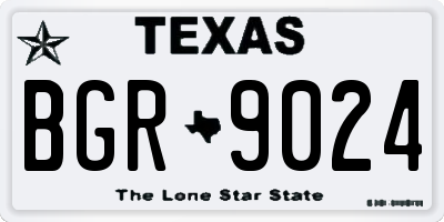 TX license plate BGR9024