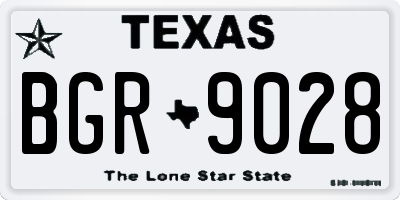 TX license plate BGR9028