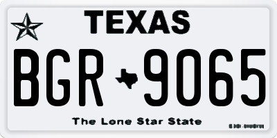 TX license plate BGR9065