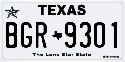 TX license plate BGR9301