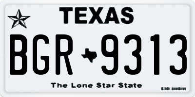 TX license plate BGR9313