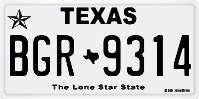 TX license plate BGR9314