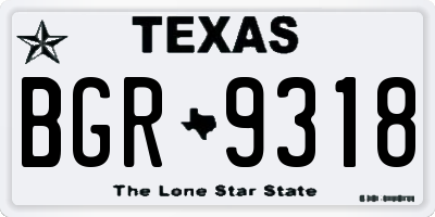 TX license plate BGR9318