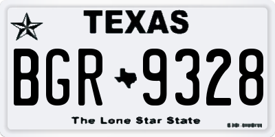 TX license plate BGR9328