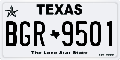 TX license plate BGR9501