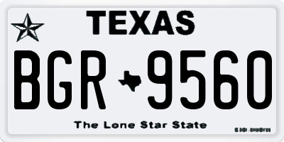 TX license plate BGR9560