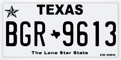 TX license plate BGR9613
