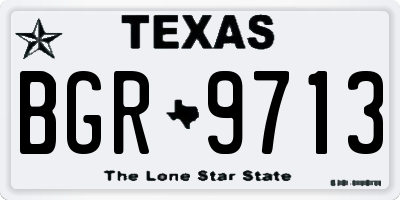 TX license plate BGR9713