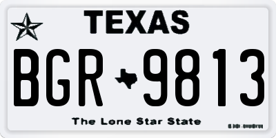 TX license plate BGR9813