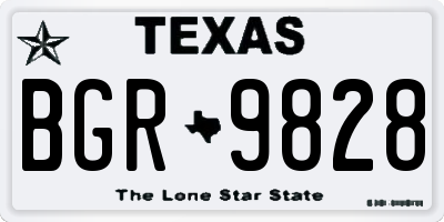 TX license plate BGR9828