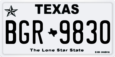 TX license plate BGR9830