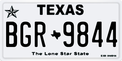 TX license plate BGR9844